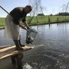 Fischbesatz nach Biberschaden 2022
